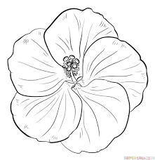 How To Draw A Hibiscus Flower Step By Step Drawing Tutorials Flower Drawing Tutorials Hibiscus Flower Drawing Flower Drawing