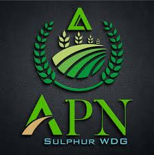 Two laborers die in APN Sulphur WDG factory fire incident in Mahesana