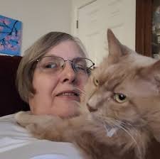 When should I put the hummingbird feeder back up in northern Virginia?