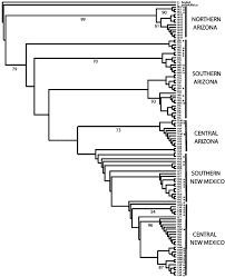 Contrary to popular belief, not only are humans still evolving, their evolution since the dawn of agriculture is faster. Local Adaptation In The Rock Pocket Mouse Chaetodipus Intermedius Natural Selection And Phylogenetic History Of Populations Heredity