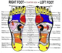 Face Meridian Chart Our Voice Matters