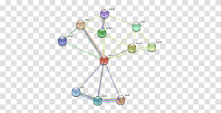 We did not find results for: Rata Png Images For Free Download Pngset Com