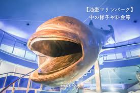 See more ideas about jujutsu, anime, jujitsu. ä¸‰å´Žæ¸¯è¿'ãã®æ²¹å£ºãƒžãƒªãƒ³ãƒ'ãƒ¼ã‚¯ã¸è¡Œã£ã¦ããŸ æ°´æ—é¤¨ã®æ§˜å­ã‚„ãƒã‚¹ã§ã®ã‚¢ã‚¯ã‚»ã‚¹æ–¹æ³• ãŠå¾—ãªã‚¯ãƒ¼ãƒãƒ³ Tabilog