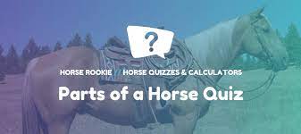 A few centuries ago, humans began to generate curiosity about the possibilities of what may exist outside the land they knew. 15 Parts Of A Horse Can You Name Them All Fun Quiz