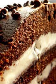 Ice Cream Cake Recipe Ice Cream Cake Desserts Basic Butter Cookies Recipe