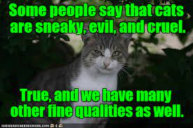 Lolcats Sneaky Lol At Funny Cat Memes Funny Cat Pictures With Words On Them Lol Cat Memes Funny Cats Funny Cat Pictures With Words On
