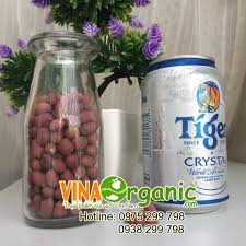 Chuyển giao công nghệ đậu phộng (Lạc) rang húng liều chất lượng cao