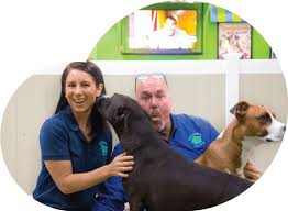 Looking for local doggy daycare while you're at work? Fully Interactive Dog Daycare Services Henderson Nv Hounds Town