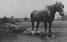 Greens Silens Messor: 1880s | The Old Lawnmower Club