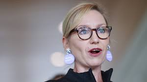 Supernan' jumps from plane for landmark birthday