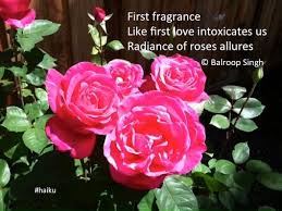 Haiku Poetry Spring Nature Flower Poem Flowers Writing Poems