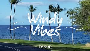 Sunny and Windy Vibes