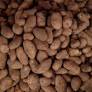 Hace 10.000 años, la patata ya era un alimento esencial en la dieta de los pueblos indígenas: hasta tal punto que ha modificado la genética de los habitantes de los Andes