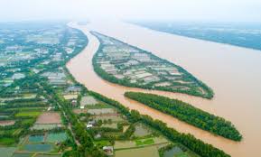Cù Lao Tân Quy