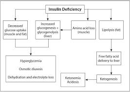 Here's a quick outline of the pathophysiology of dka, in simple steps for you to follow (you won't find these steps in your textbook, i put it together this way to make learning it easier for you!): Diabetic Ketoacidosis 2015 07 17 Ahc Media Continuing Medical Education Publishing
