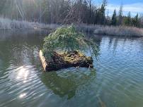 Take a Walk on the Wild Side with Mississippi Headwaters Audubon Society