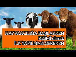 Yapi Kayit Belgesi E Devlet Uzerinden Nasil Alinir Csb Imar Barisi 2018 Youtube