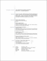 resume format ideas resume templates