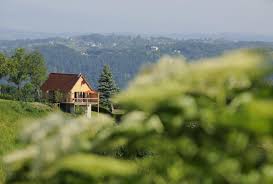 Ferienhauser Osterreich Sie Suchen Ein Traumferienhaus In Schonster Lage Mit Anspruchsvollster Ausstattung Verwohns Ferienhaus Osterreich Ferienhaus Ferien