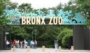 Bronx Zoo Tips Bronx Zoo Bronx New York Travel