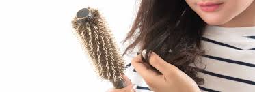 We did not find results for: 6 Penyebab Rambut Rontok Yang Harus Diketahui Goglam