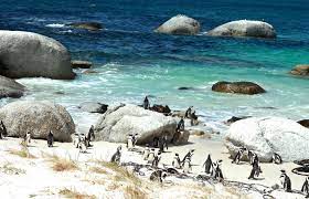 © 2018 eddie van rooyen. On The Road Discover South Africa Behind The Wheel Momondo Discover
