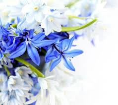 Colorful vector flowers with birds. Beautiful Birds Flowers Free Stock Photos Download 16 296 Free Stock Photos For Commercial Use Format Hd High Resolution Jpg Images