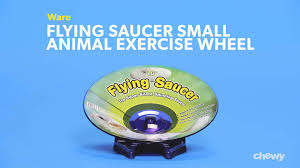 *free* shipping on orders $49+ and the best customer service! Lees Kritter Krawler Jumbo Exercise Ball 10 Random Colors Mimbarschool Com Ng