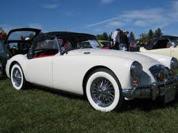 Image result for Old English White 1961 MG