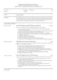 sales support associate resume & guide