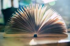 Fiction Book Club