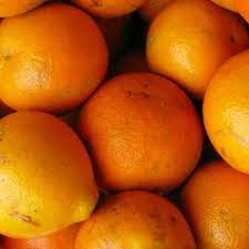 Naranja Huando La Fruta Que Murio Por El Virus De La Tristeza Economia El Comercio Peru