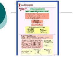 Examples include reactions to certain foods or. Anaphlaxis Dr Ferdi Menda Anaphylaxis A Severe Life