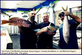 We did not find results for: San Pedro Fish Market To Cast A Wider Net Random Lengths News
