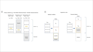 The Role Of Urea Induced Osmotic Diuresis And Hypernatremia In A Critically Ill Patient Case Report And Literature Review
