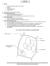 Presenter Un Dessin De Cellule Banque De Schemas Svt Academie De Dijon