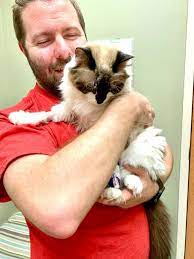Kidney cancers don't usually cause any signs or symptoms, but sometimes they kidney biopsy: How Long Can A Cat Live With Kidney Failure The Crazy Cat Lady Tips