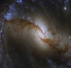 Los astrónomos clasifican la mayoría de las galaxias por su morfología. What Is A Barred Spiral Galaxy