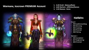 Many patterns are taught by leatherworking trainers, while other patterns may be purchased from a vendor, obtained as loot. Sold Selling Warmane Icecrown High End Druid Warlock Shaman Playerup Worlds Leading Digital Accounts Marketplace