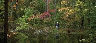 See reviews and photos of parks, gardens & other nature attractions in fort worth, texas on tripadvisor. Lake Bob Sandlin State Park Texas Parks Wildlife Department