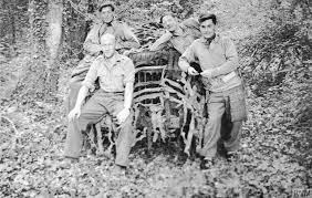 File:SAS Op Bulbasket.jpg