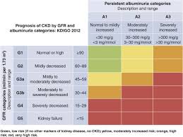 Serum creatinine, however, has shortcomings because of its low predictive values. Kdigo 2020 Clinical Practice Guideline For Diabetes Management In Chronic Kidney Disease Kidney International