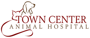 Maybe you would like to learn more about one of these? Veterinarian In Las Vegas Nv Town Center Animal Hospital