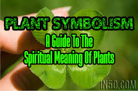 plant symbolism a guide to the spiritual meaning of plants