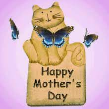 Check spelling or type a new query. Mothers Day Cat Gifs Tenor