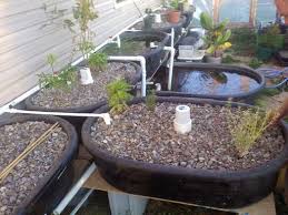 Get a quick crash course in aquaponics 101 and diy tutorials for. Conversation About Aquaponics Aquaponics Forum At Permies