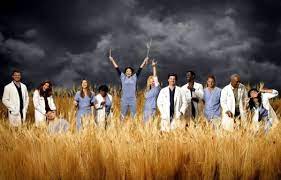 The crossword clue possible answer is available in 3 letters.this answers first letter of which starts with d and can be found at the end of s. Jigsaw Puzzle Grey S Anatomy 126 Pieces Jigidi