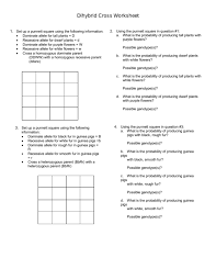 Genetics practice problem worksheet on the dihybrid two factor cross suitable for biology or life science students in grades 8 12 this is a 6. Dihybrid Cross Worksheet