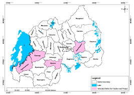 Image result for Stolzia cupuligera