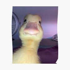 Thanks to yellow duck, you can: D3okcm4bdyer7m